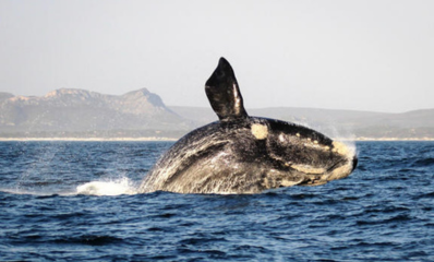 Tanzania